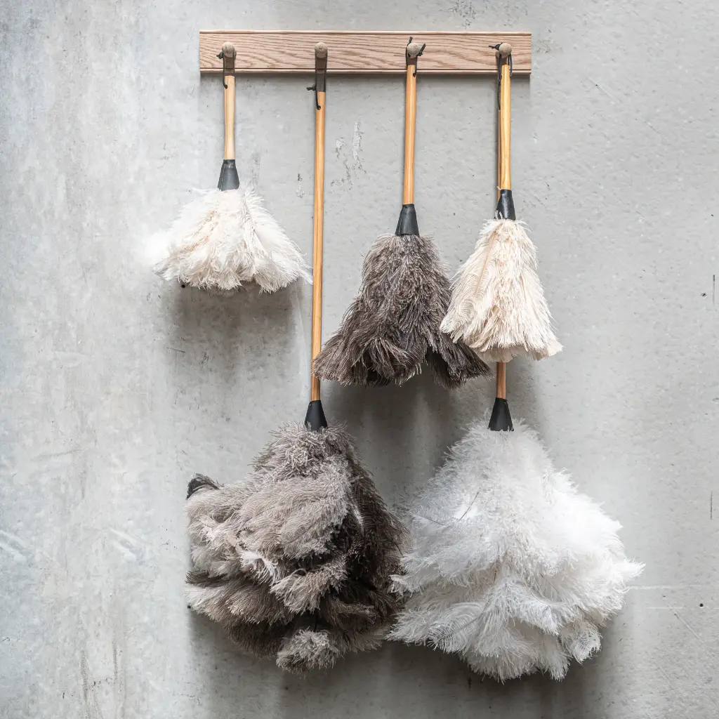 FeatherDusterGroupoAllSIzes-632.webp
