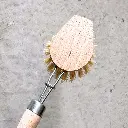 Pointed_dish_brush_head.webp