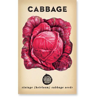 Heirloom Seeds - Cabbage (Savoy Purple)