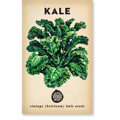 Heirloom Seeds - Kale (Dwarf Blue)