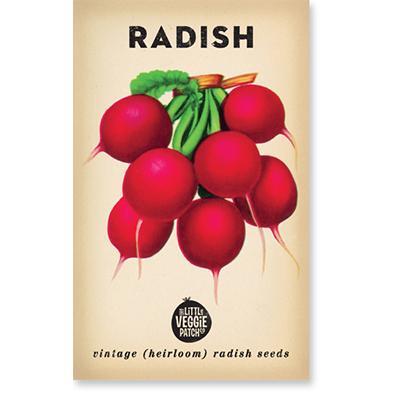 Heirloom Seeds - Radish (Cherry Belle)