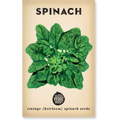 Heirloom Seeds - Spinach (Bloomsdale)