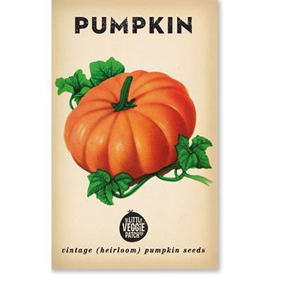 Heirloom Seeds - Pumpkin (Small Sugar)