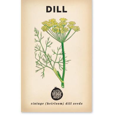 Heirloom Seeds - Dill