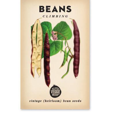 Heirloom Seeds - Climbing Beans (Scarlett Runner)