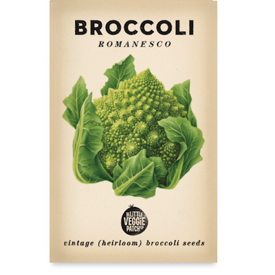 Heirloom Seeds - Broccoli (Romanesco)