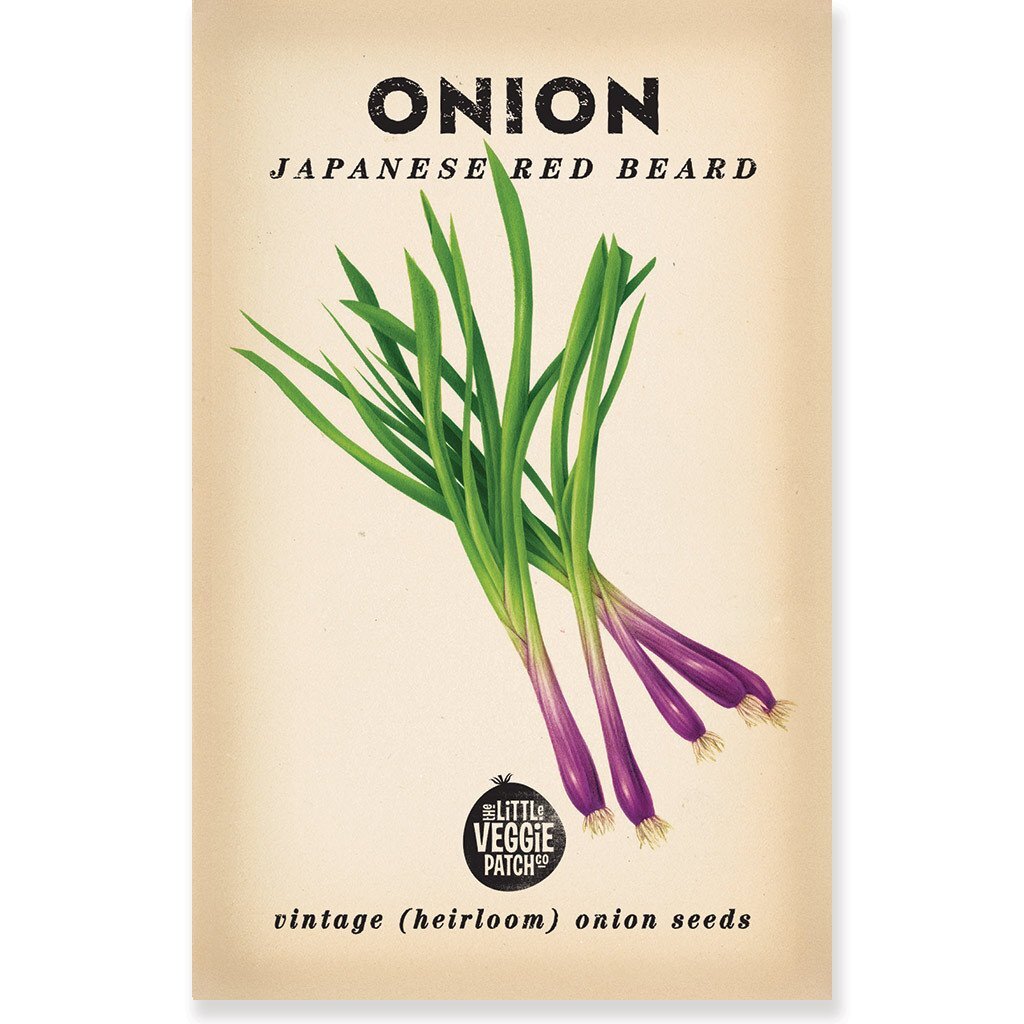 Heirloom Seeds - Onion (Japanese Red Beard)