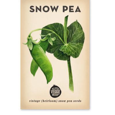 Heirloom Seeds - Snow Pea