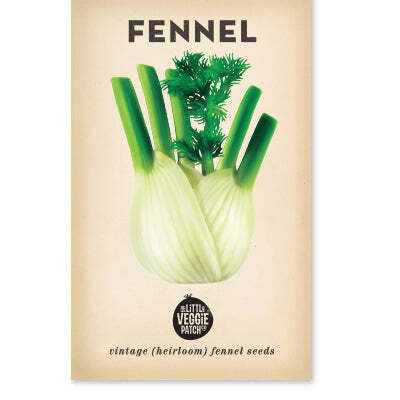 Heirloom Seeds - Fennel (Florence)