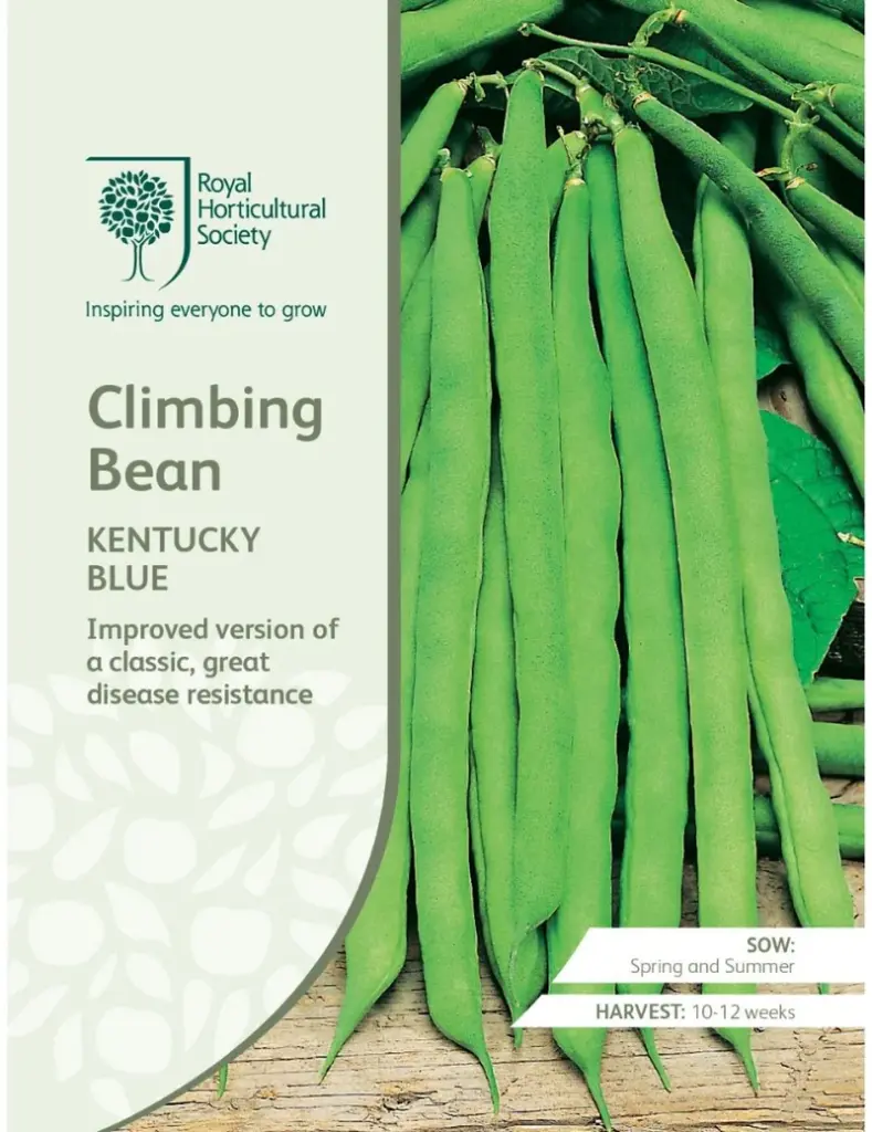 RHS Seeds - Kentucky Blue Climbing Bean Seeds