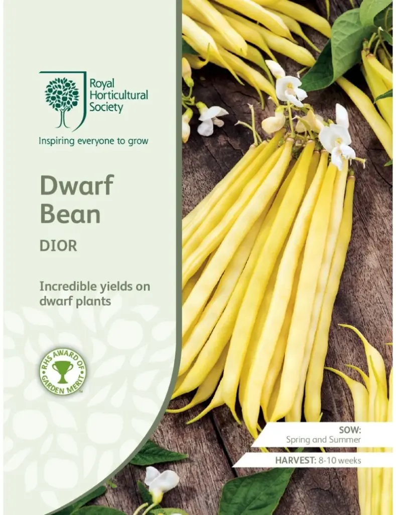 RHS Seeds - Dwarf Bean Dior