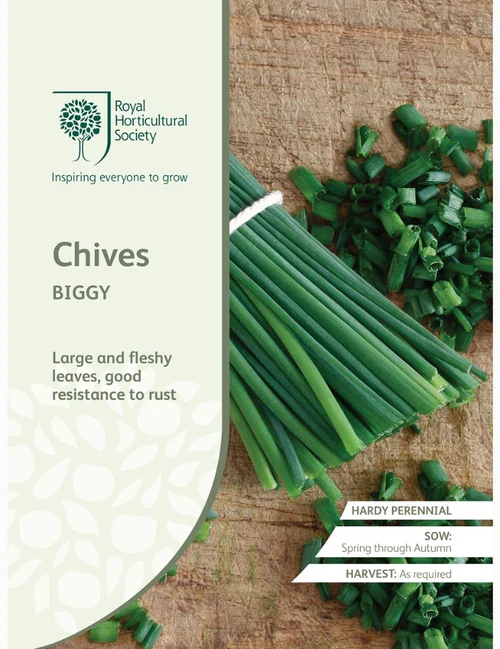 RHS Seeds - Chives Biggy