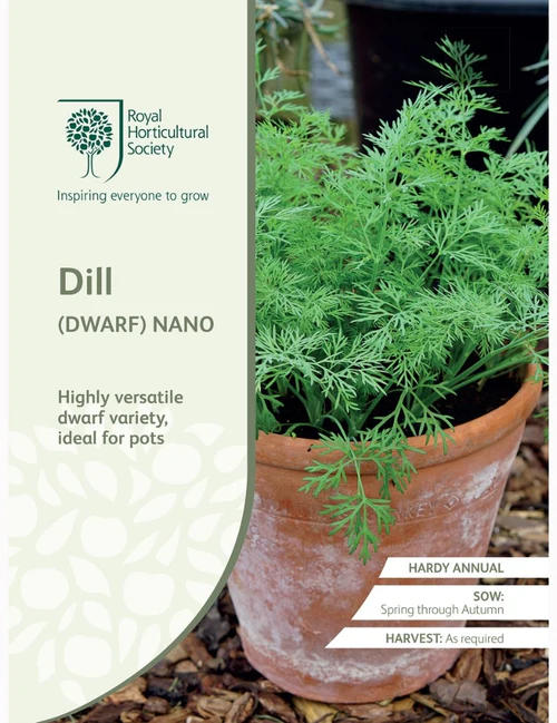 RHS Seeds - Dill (Dwarf) Nano