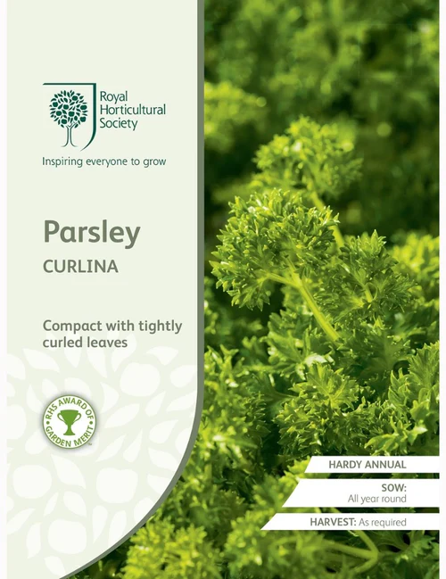  RHS Seeds - Parsley Curlina