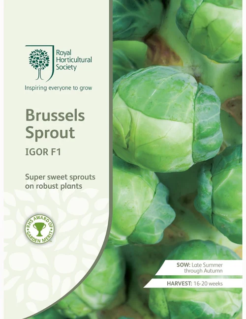 RHS Seeds - Igor Brussels Sprouts F1