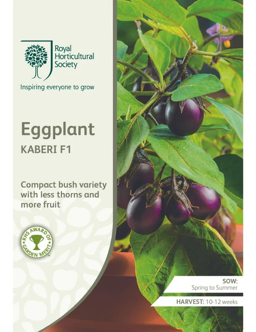 RHS Seeds - Eggplant Kaberi F1