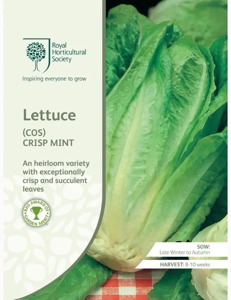 RHS Seeds - Cos Lettuce Crisp Mint