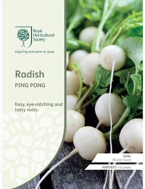 RHS Seeds - Radish Ping Pong