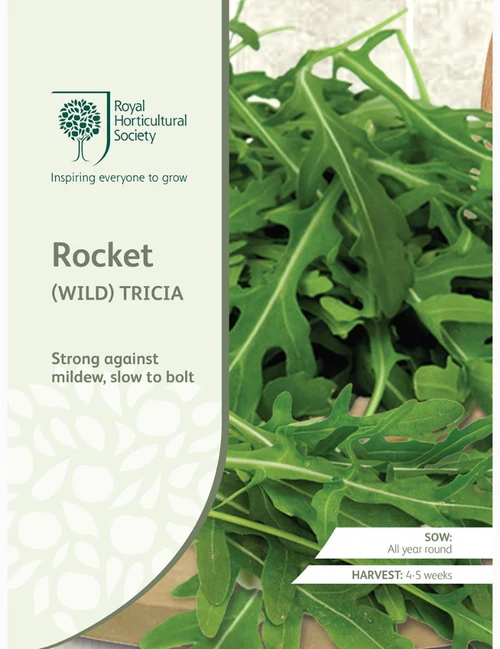 RHS Seeds - Wild Rocket Tricia