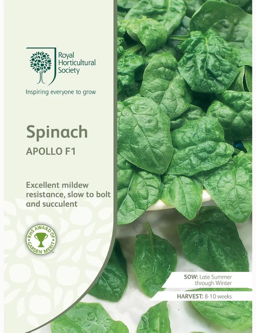 RHS Seeds - Spinach Apollo F1