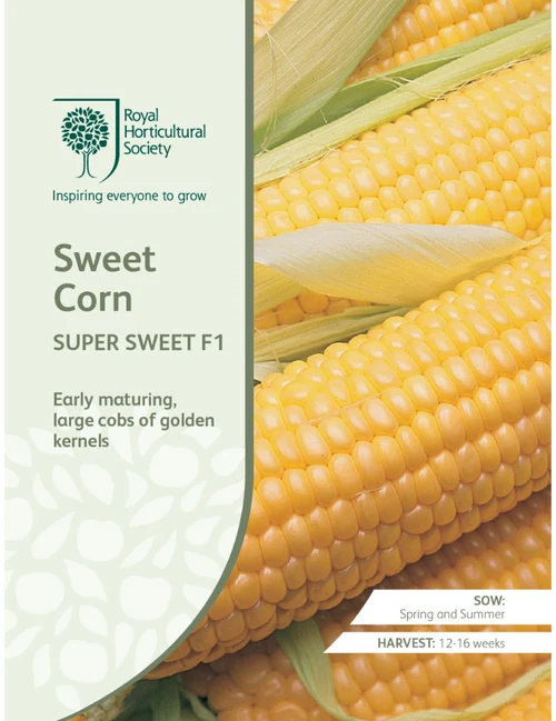 RHS Seeds - Sweet Corn Super Sweet F1