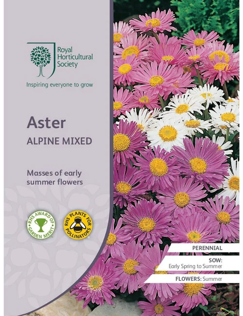 RHS Seeds - Aster Alpine Mixed