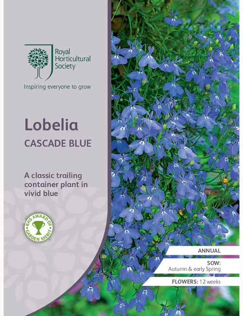 RHS Seeds - Lobelia Cascade Blue