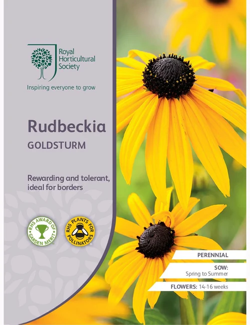 RHS Seeds - Rudbeckia Goldsturm