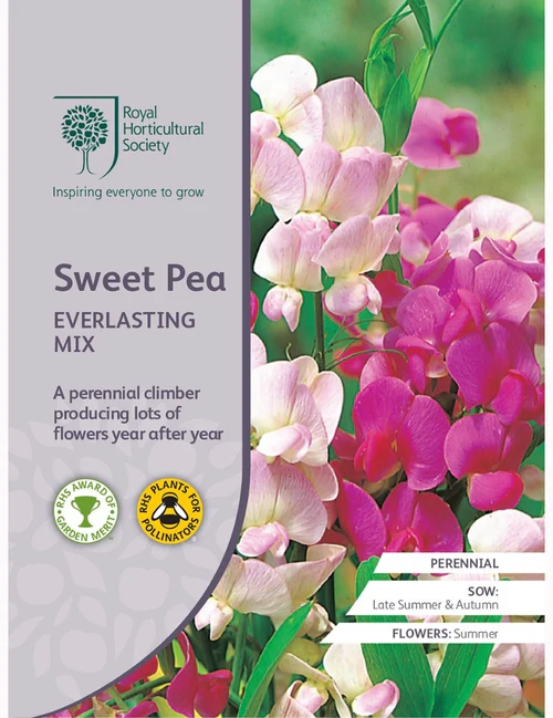 RHS Seeds - Sweet Pea Everlasting Mixed