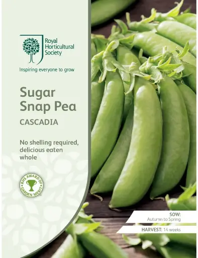 RHS Seeds - Cascadia Sugar Snap Pea Seeds