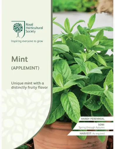 RHS Seeds - Mint (Applemint)