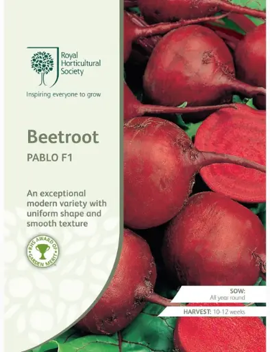 RHS Seeds - Beetroot Pablo F1