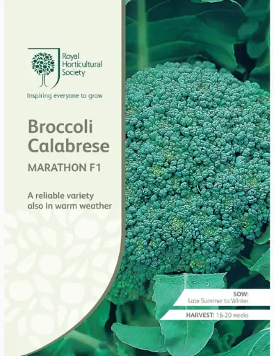 RHS Seeds - Broccoli Calabrese Marathon F1