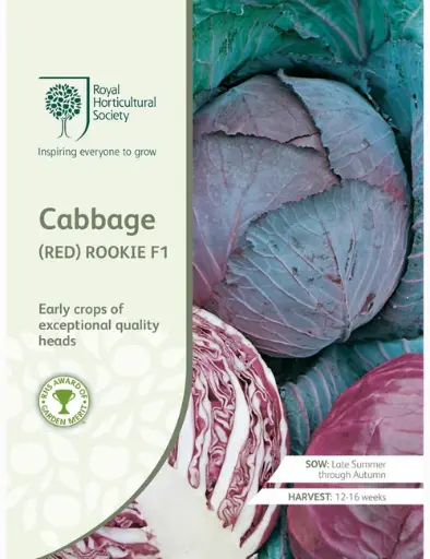 RHS Seeds - Red Cabbage Rookie F1