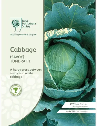 RHS Seeds - Savoy Cabbage Tundra F1 