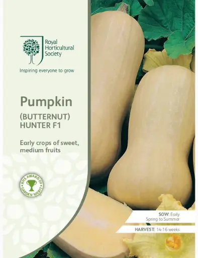 RHS Seeds - Butternut Pumpkin Hunter F1