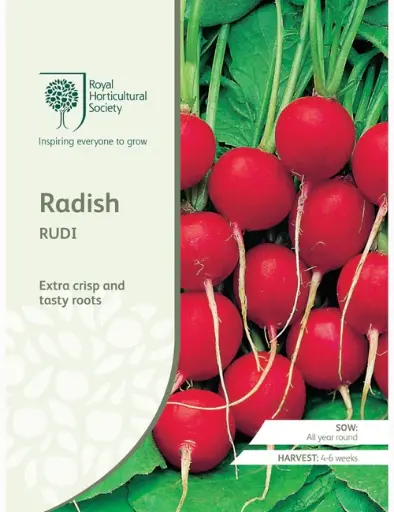 RHS Seeds - Radish Rudi 