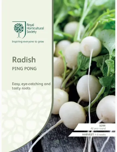 RHS Seeds - Radish Ping Pong