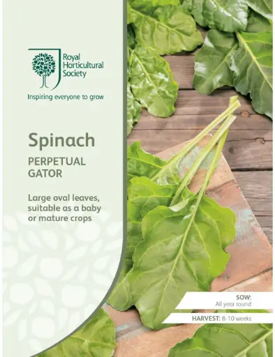 RHS Seeds - Spinach Perpetual Gator