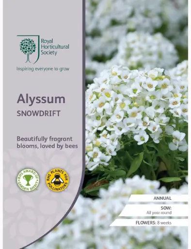 RHS Seeds - Alyssum Snowdrift