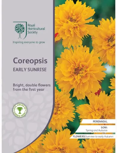 RHS Seeds - Coreopsis Early Sunrise