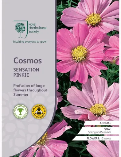 RHS Seeds - Cosmos Sensation Pinkie