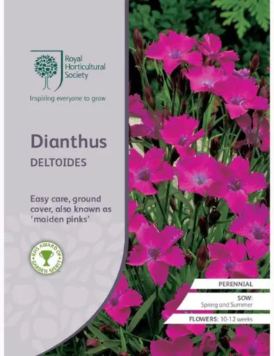 RHS Seeds - Dianthus deltoidies