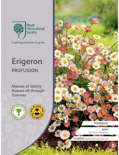 RHS Seeds - Erigeron Profusion