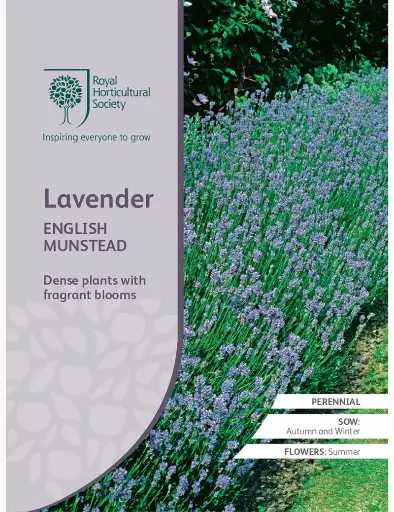 RHS Seeds - English Lavender Munstead