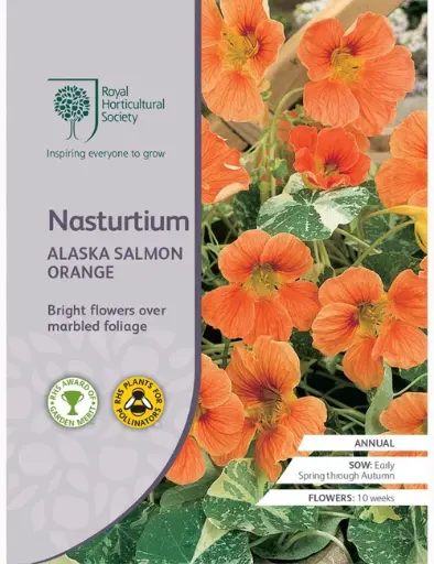 RHS Seeds - Nasturtium Alaska Salmon Orange